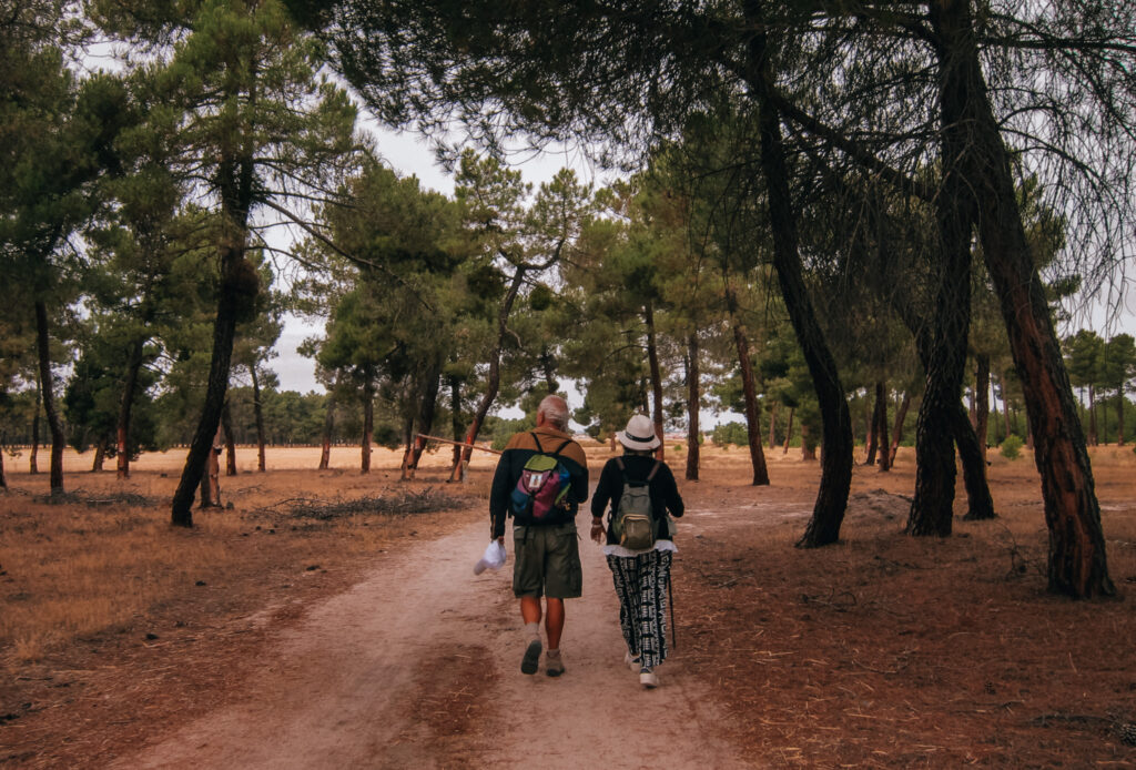 Ruta Teresiana de La Cuna al Sepulcro